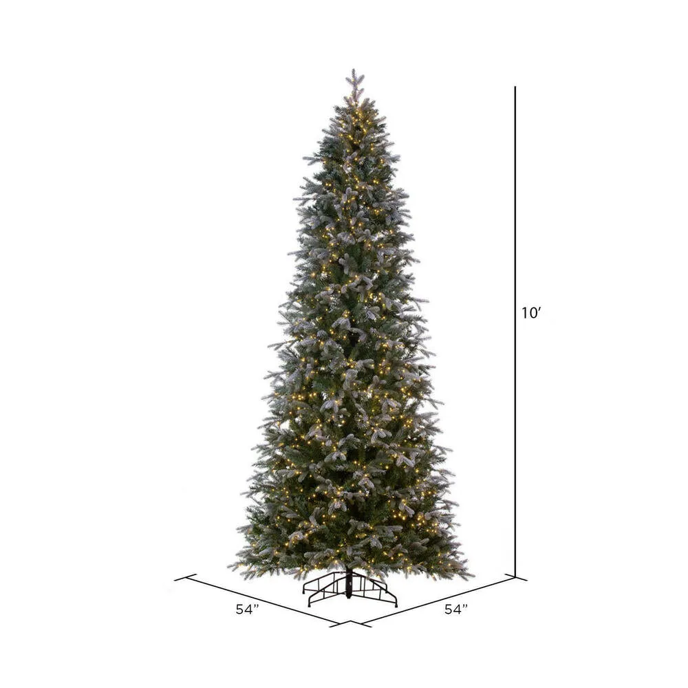 10' x 54" Frosted Douglas Fir Artificial Pre-Lit Xmas Tree Warm White 3mm LED