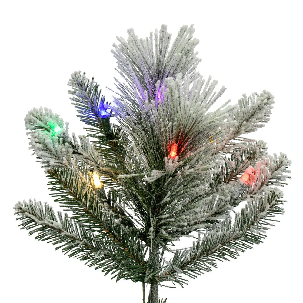 10' x 56" Flocked Jackson Pine Artificial Pre-Lit Christmas Tree Colored Lights.