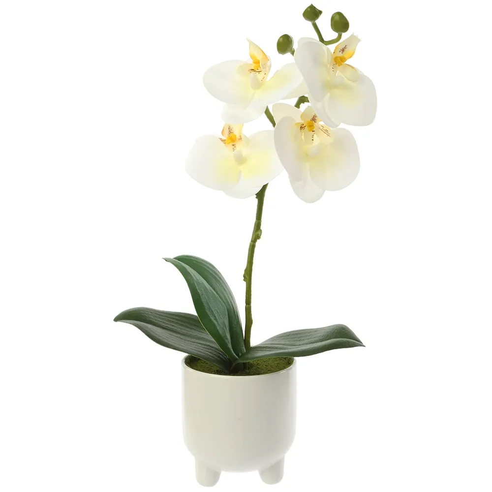 12" Silk Phalaenopsis Orchid Flower Arrangement w/Ceramic Pot -White (pack of 6)