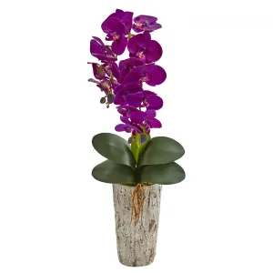 15" Artificial Mini Phalaenopsis w/Fluted Vase, Life Like Flowers That Require Low Maintenance.