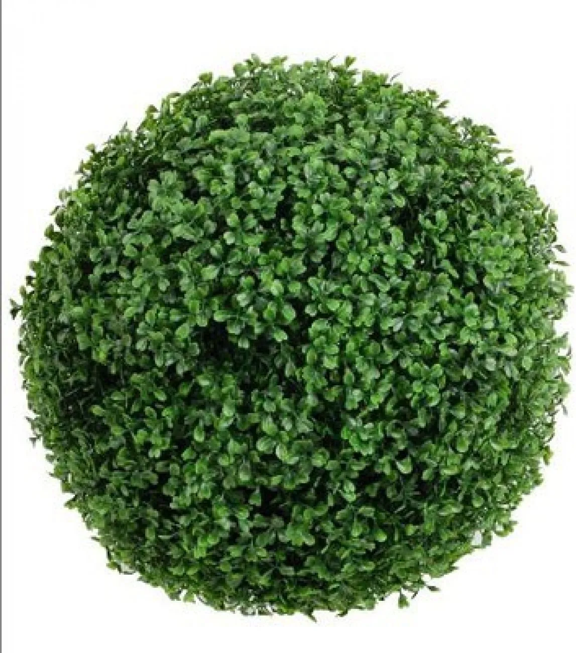 20" Boxwood Ball