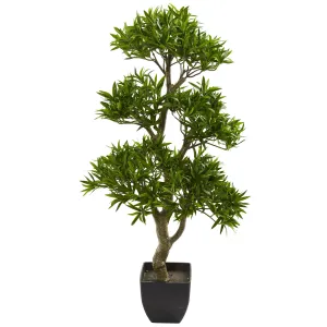 37" Artificial Bonsai Styled Podocarpus Tree - Low Maintenance, Life-Like & Vibrant Silk Trees For Busy People.