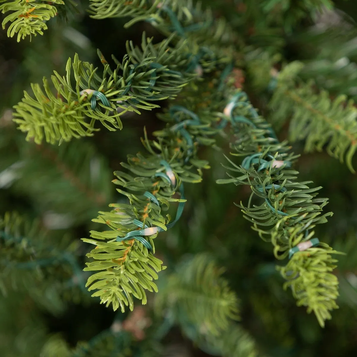 5' Great Northern Spruce Christmas Tree with Micro LED Lights