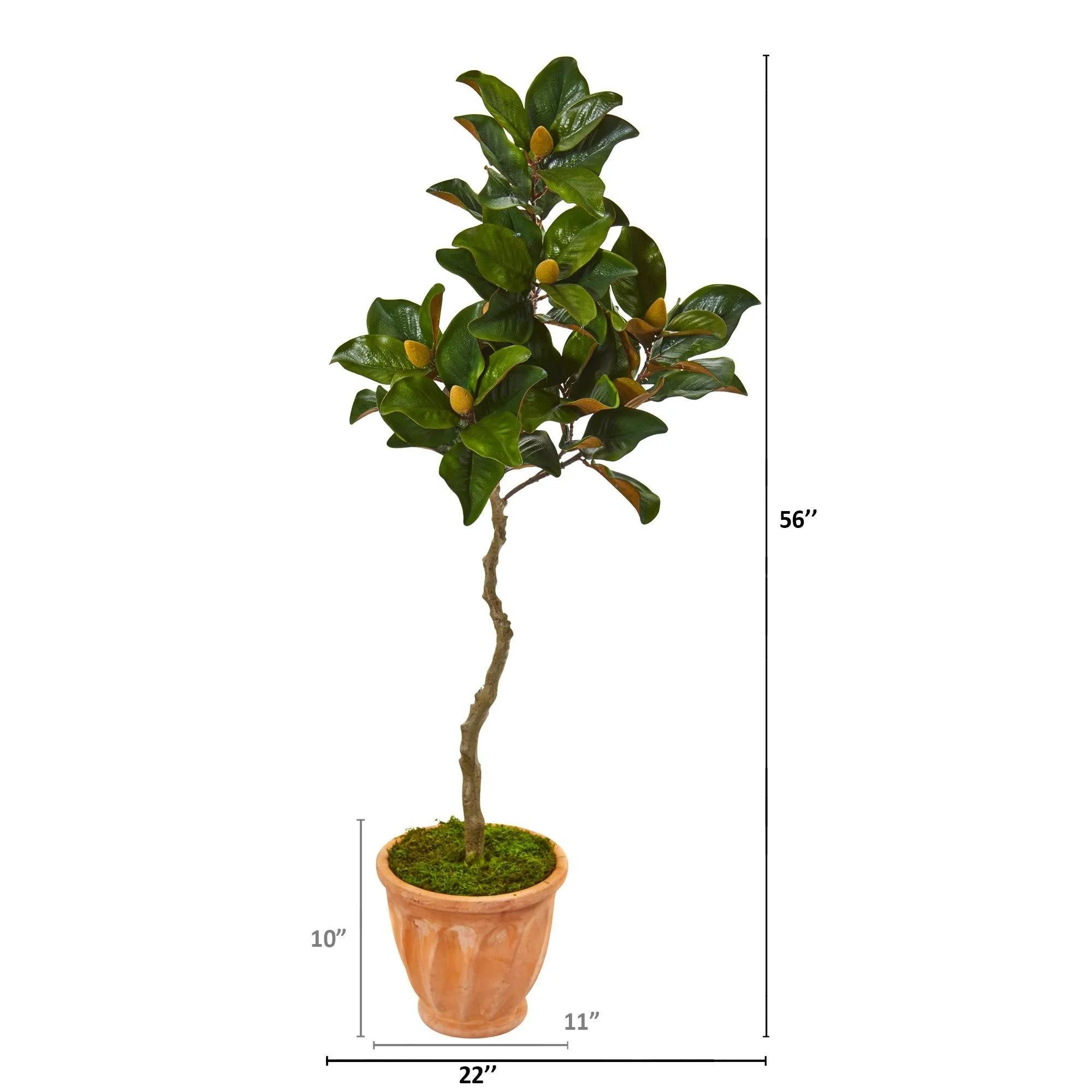 56” Magnolia Artificial Tree in Orange Planter