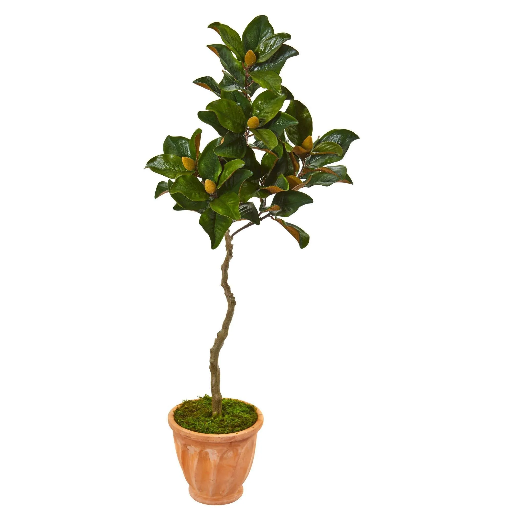 56” Magnolia Artificial Tree in Orange Planter