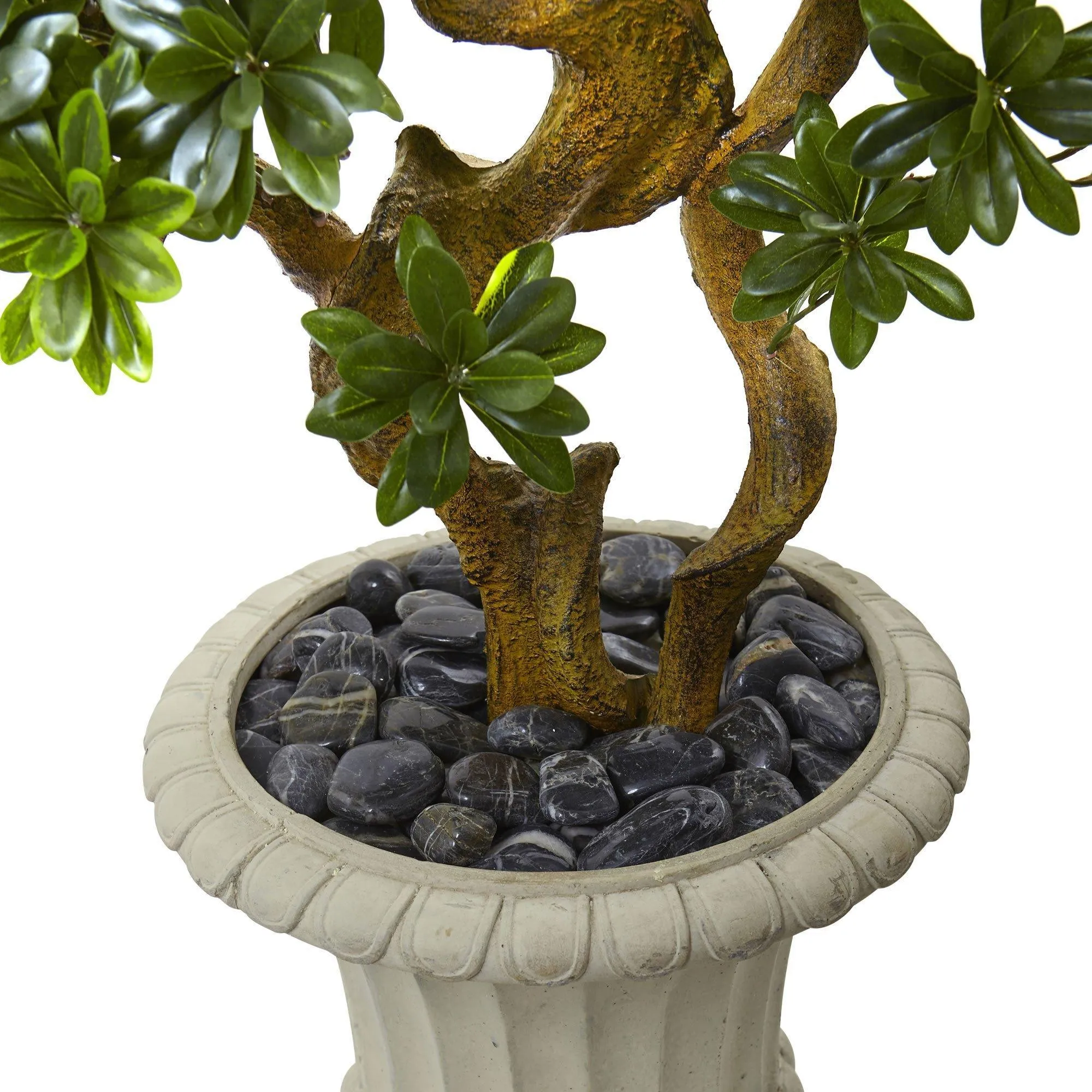 6’ Pittosporum Artificial Tree in Urn UV Resistant (Indoor/Outdoor)