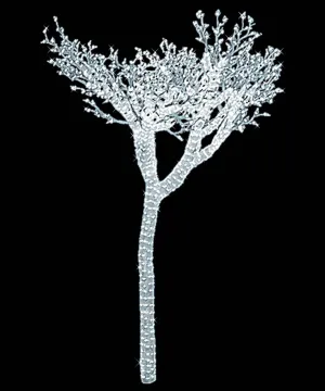 8' LED Lit Acrylic Acacia Tree Sculpture