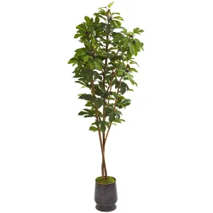 88” Fig Artificial Tree in Ribbed Metal Planter