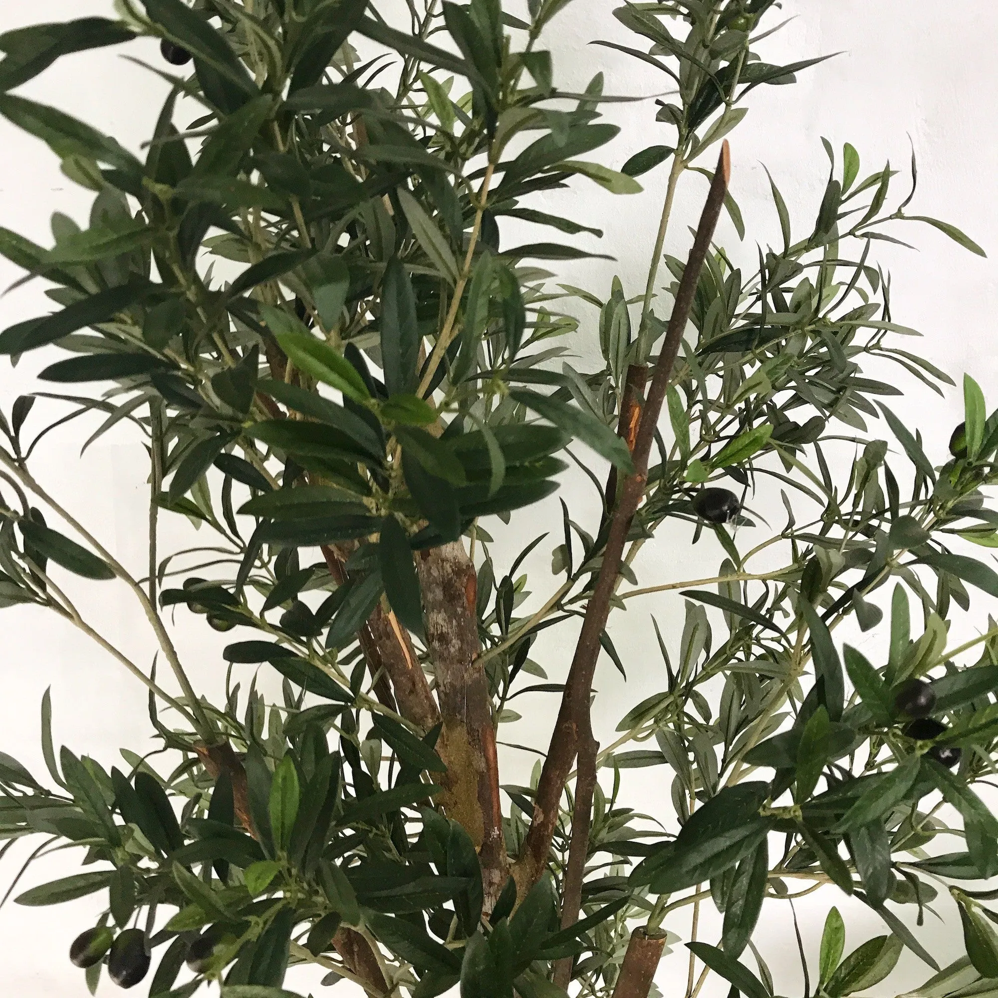 Artificial Olive Tree