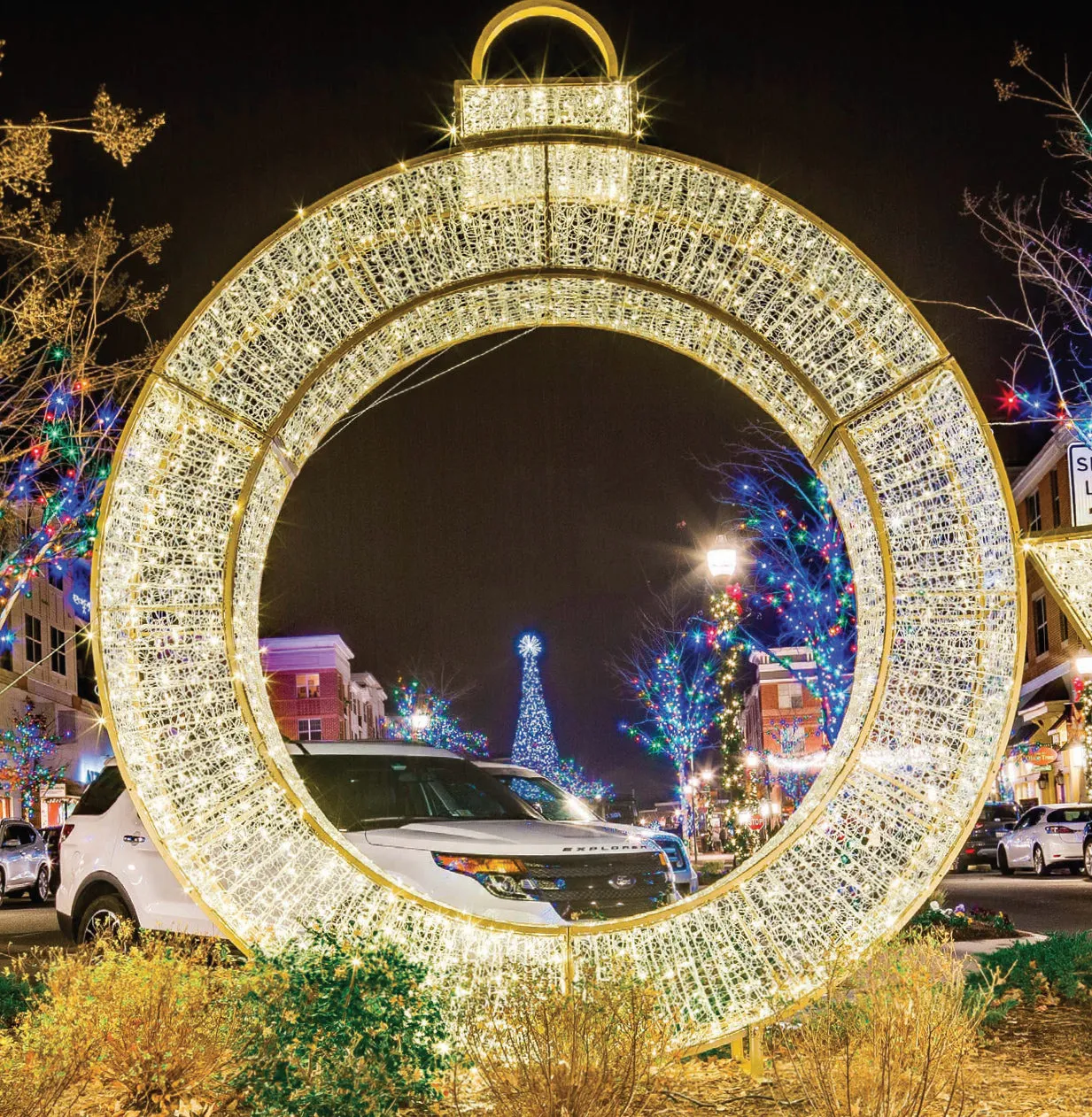 Giant Illuminated Ornament Rings