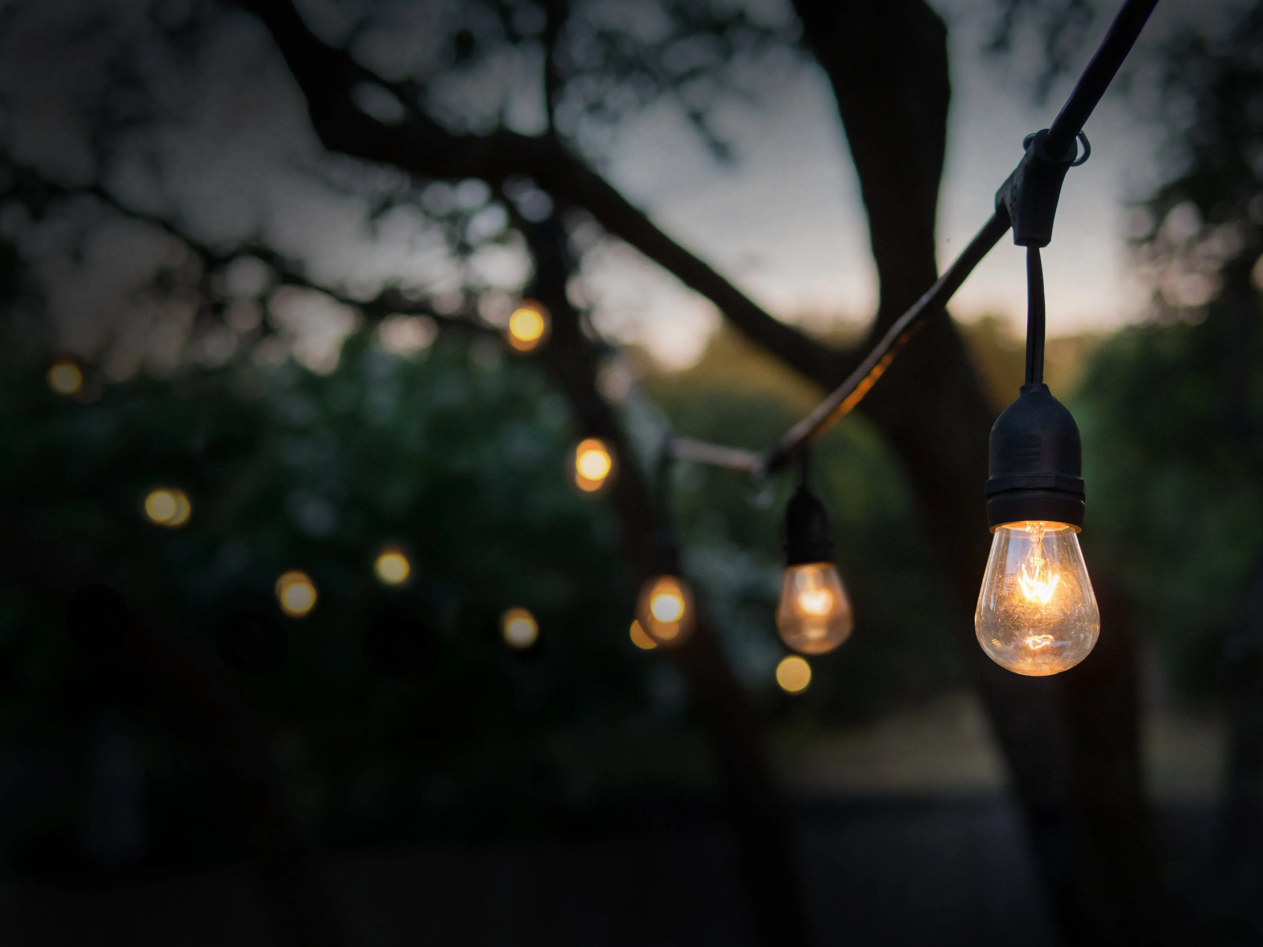 Heavy Duty Outdoor String Lights - 15 Bulb