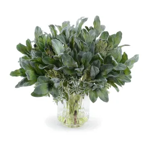 Lamb's Ear, Protea & Euphorbia in Glass 22"H