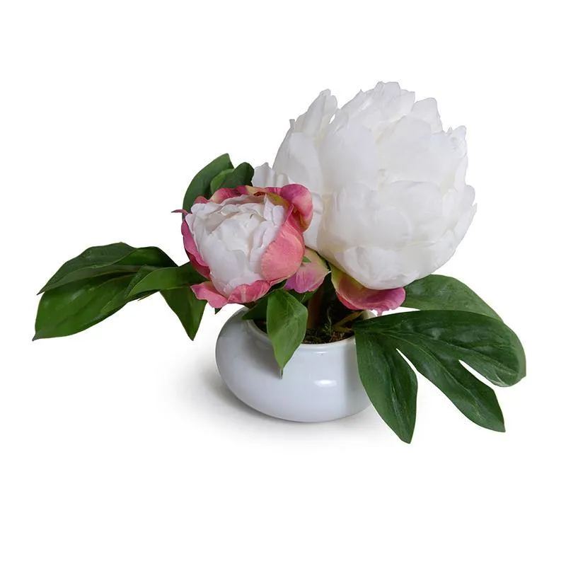 Peony Cutting in Porcelain Bowl 7"H