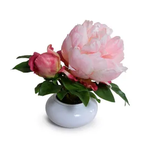 Peony Cutting in Porcelain Bowl 7"H